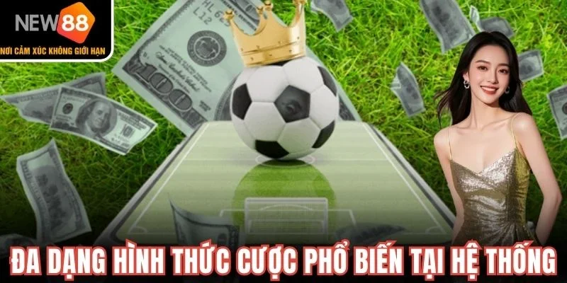Đa dạng hình thức cược phổ biến tại hệ thống