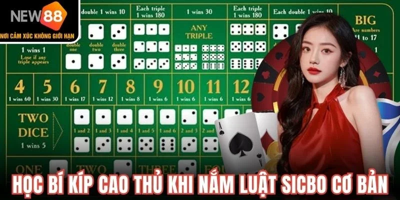 Học bí kíp cao thủ khi nắm luật Sicbo cơ bản