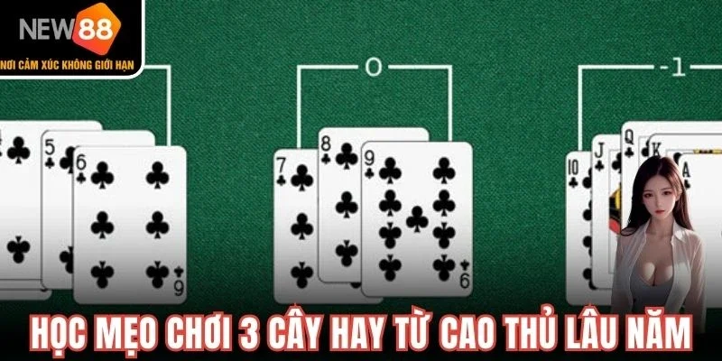 Học mẹo chơi 3 cây hay từ cao thủ lâu năm