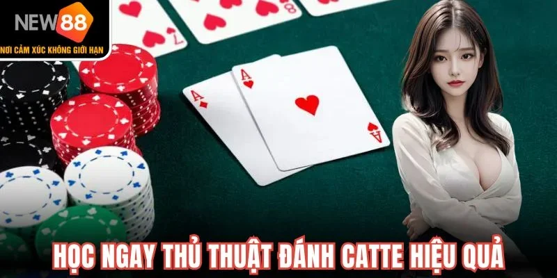 Học ngay thủ thuật đánh Catte hiệu quả